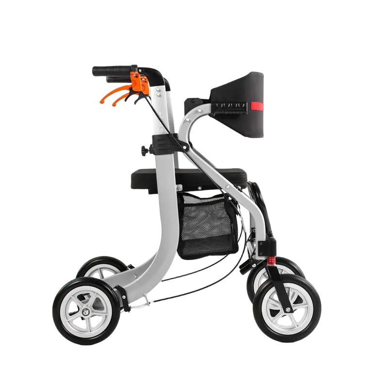 واکر برقی حرفه ای مدBC-KM15 تایوانی دیاناوکس